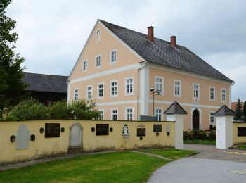 Percorso A piedi Wenigzell - Barbara-Sicharter-Weg - Photo