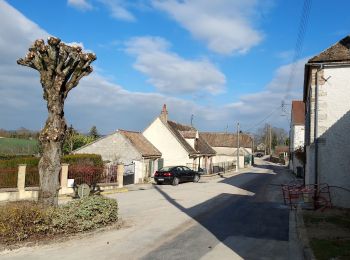 Percorso Marcia Courtois-sur-Yonne - Courtois 230307 - Photo