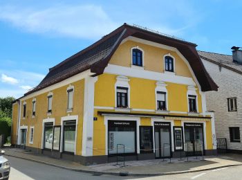 Tour Zu Fuß Thalgau - Mooswirt Rundweg - Photo