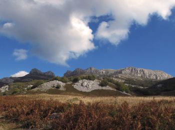 Randonnée A pied Espinosa de los Monteros - Senda Valle de Lunada - Photo
