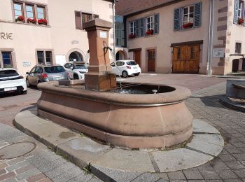 Tour Wandern Günsbach - Gunsbach - Munster - Photo