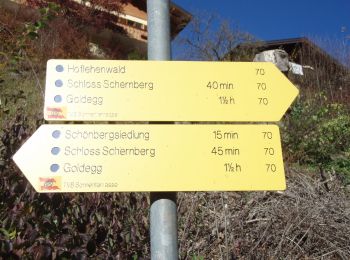 Tour Zu Fuß Goldegg - Goldegg-Schwarzach über Buchenkopf - Photo