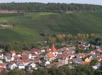 Percorso A piedi Bretzfeld - Herrenhölzle Rundweg 2 - Photo