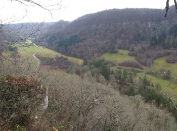 Excursión Senderismo Ornans - Bonnevaux du bas - Photo