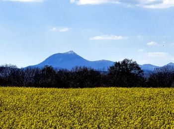 Trail Walking Les Martres-de-Veyre - Corent_Plateau - Photo