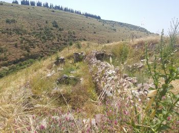 Trail On foot Emek Izrael Regional Council - Basalt Canyon - Tabor Stream - Photo