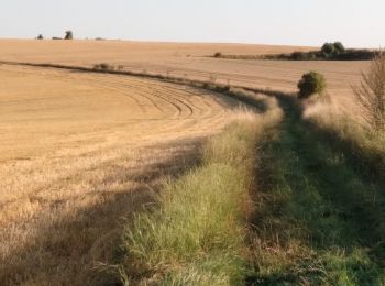 Percorso A piedi Frocourt - Petite boucle de Frocourt - Photo