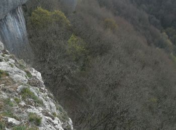 Trail Mountain bike Besançon - Besançon Chassagne st Denis  - Photo