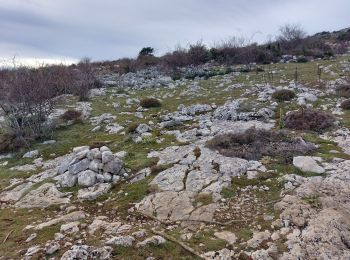 Tour Wandern Gourdon - gourdon derniere - Photo