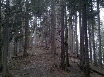 Trail On foot Miesbach - Wanderweg 550a - Wasserschloß/Miesbach - Photo