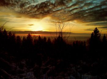 Tocht Te voet Sonneberg - Rund um den Schönberg - Photo