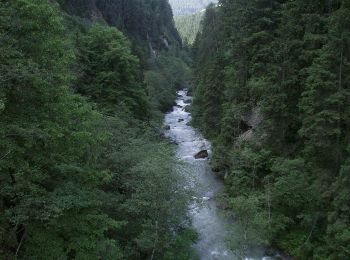 Tocht Te voet St. Lorenzen - San Lorenzo di Sebato - IT-9 - Photo