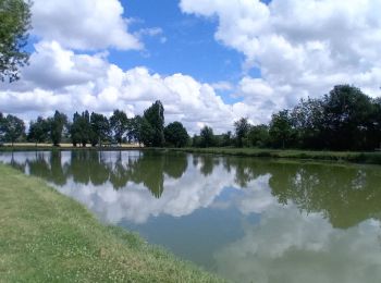 Tocht Stappen Vernoil-le-Fourrier - Vernantes  - Photo