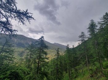 Tour Wandern Val-d'Oronaye - pas des manzes 4-07-2022 - Photo