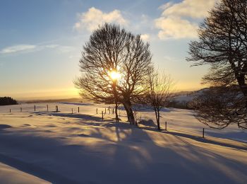 Randonnée Raquettes à neige Picherande - Chareire_Fontaine_Salee_3 - Photo