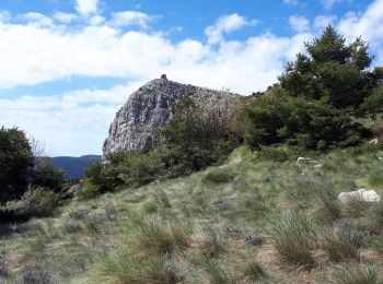 Tocht Stappen Saint-Auban - L'arpille près de Sausses - Photo