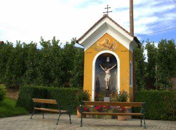 Tour Zu Fuß Albersdorf-Prebuch - Wanderweg 5 - Photo