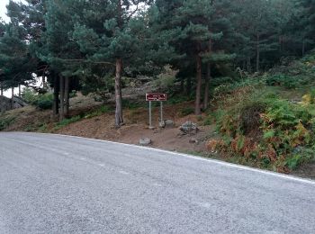 Randonnée A pied Canencia - Senda del Arroyo del Sestil del Maíllo y de la Ladera de Mojonavalle - Photo