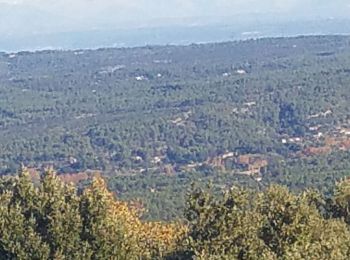 Tour Wandern Peyrolles-en-Provence - Loubatas - termes de judas - la Grande Baume - Photo