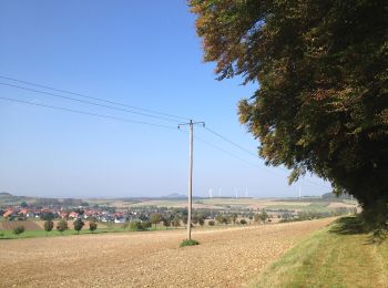 Tocht Te voet Calden - Habichtswaldsteig - Extratour Breuna - Photo