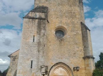 Tocht Stappen Saint-Vincent-le-Paluel - SAINT VINCENT LE PALUEL  - Photo