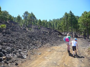 Randonnée Marche El Paso - Wikiloc La Palma: Cumbre Vieja Vulkaanroute 50% (PVDB) - Photo