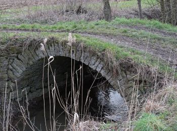 Percorso A piedi Helmstadt-Bargen - Rundwanderweg Bargen 1: Kälbertshausen-Weg - Photo