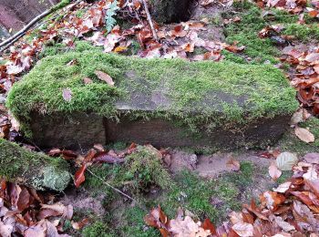 Excursión A pie Böblingen - DE-SAV Blauer Punkt, Böblingen Lange Schläge - Katzenbacher Hof - Büsnau - Photo