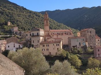 Tour Wandern Omessa - Boucle de Sant Angelo ou Boucle des Chapelles  - Photo