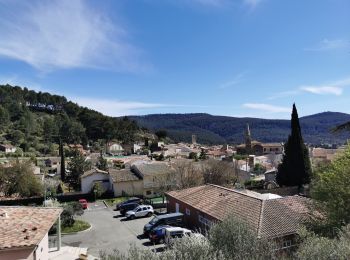 Randonnée Marche Cuges-les-Pins - Cuges les Pins - Jas de Sylvain  - Photo