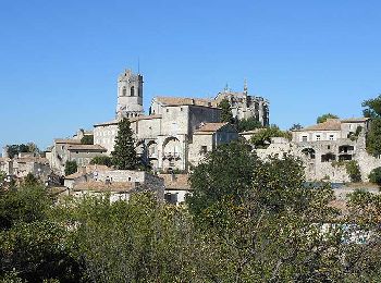 Tour Wandern Viviers - 2024-01-23_21h32m26_Viviers Larnas Le Relais 23km - Photo