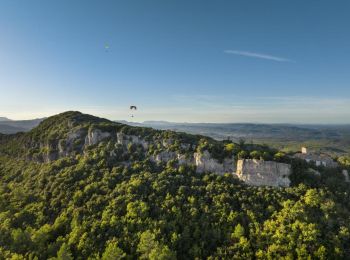 Randonnée Marche Sainte-Anastasie-sur-Issole - la chapelle et la barre de saint -Quinis - Photo