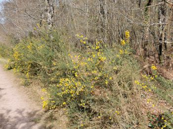 Trail Walking Baron-sur-Odon - #Confinement_Baron-sur-Odon_4,6_km_#2 - Photo