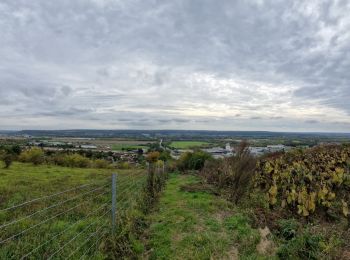 Tour Wandern Les Authieux-sur-le-Port-Saint-Ouen - 20241015-sotteville sous le val - Photo