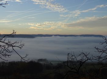 Tocht Te voet Onbekend - Culmberg-Steinkreuz-Jenzig-Fuchsturm-Forsthaus-Papiermühle - Photo