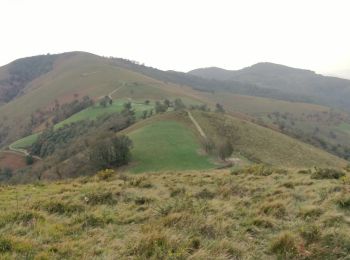 Excursión Senderismo Ibarrolle - Au-dessus de IBAROLLE - Photo