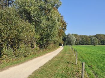 Trail On foot Oostkamp - Meersen wandelroute - Photo