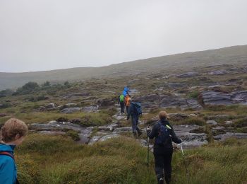 Tour Wandern West Cork - Ardgroom -  Eyeries - Photo