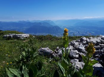 Trail Walking Entremont-le-Vieux - Le Granier par le pas des Barres, retour par la Balme à Colomb - Photo