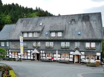 Tour Zu Fuß Schmallenberg - Waldarbeiter- und Försterpfad - Photo