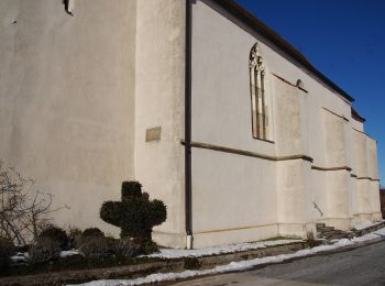 Tour Zu Fuß Velburg - Rundweg um den Sperlasberg - Photo