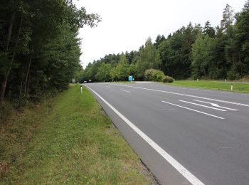 Percorso A piedi Lafnitz - Lafnitz Rundwanderweg L4 - Photo