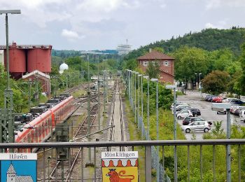 Percorso A piedi Weil der Stadt - Weil der Stadt - Ruine Liebeneck - Photo