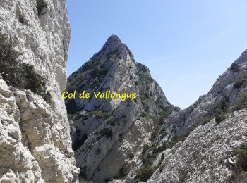 Tocht Stappen Saint-Rémy-de-Provence - Crête des Alpilles (Rocher des 2 Trous) - Photo