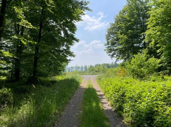 Trail Walking Noroy-sur-Ourcq - en Forêt de Retz_93_05_2022_le Bois de Cresnes - Photo
