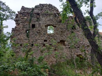 Tocht Stappen Callian - Callian, ruines de Velnasque - Photo