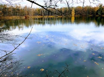 Percorso A piedi Neubeuern - Neuner See - Photo