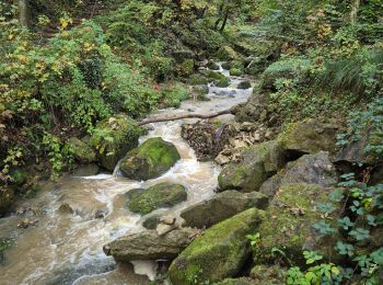 Tocht Stappen Echternach - Mullerthal E1 - Photo