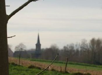 Tour Wandern Beauvechain - BE-Beauvechain - L'Ecluse - Douce campagne brabançonne - Photo