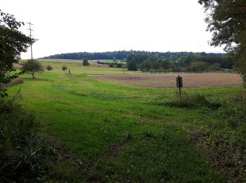 Tocht Te voet Buchs (ZH) - Hand - Regensberg - Photo